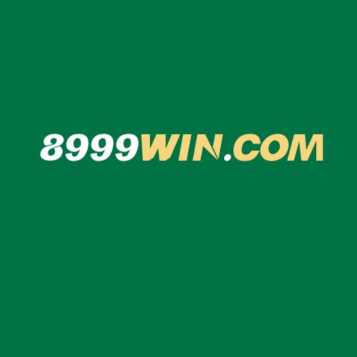 Logo da 8999WIN